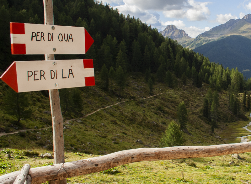 Formazione: la cultura del progetto alla Trentino School of Management